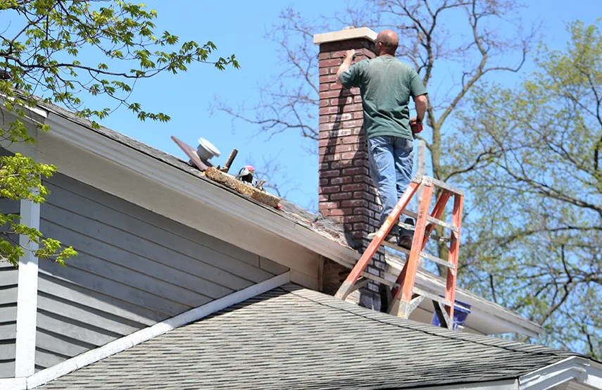 Chimney & Fireplace Inspections Services in Gresham Trace, NC
