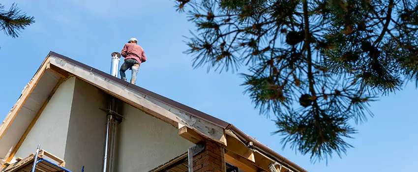 Birds Removal Contractors from Chimney in Falls Church, NC
