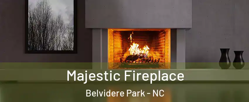 Majestic Fireplace Belvidere Park - NC