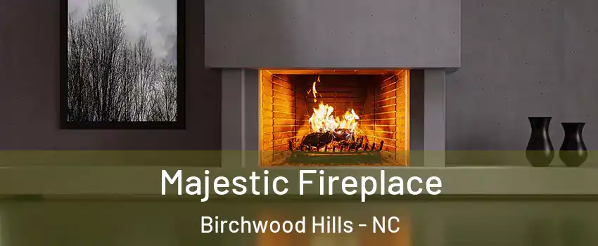 Majestic Fireplace Birchwood Hills - NC