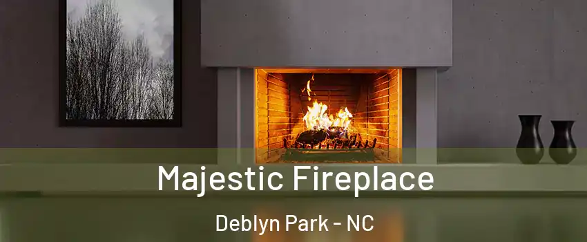 Majestic Fireplace Deblyn Park - NC