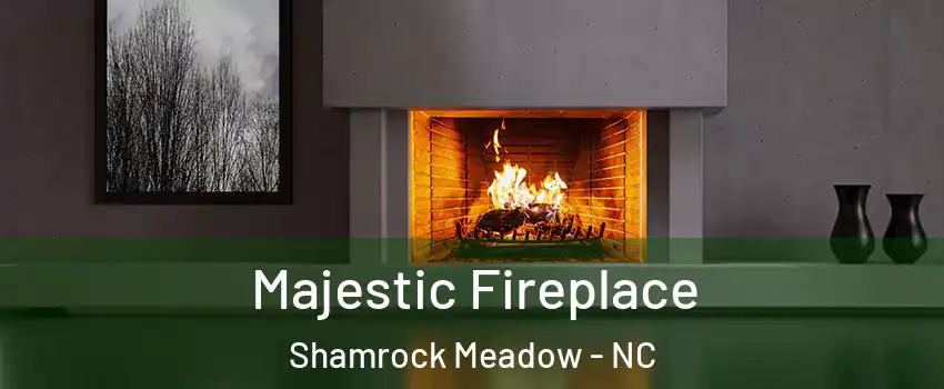 Majestic Fireplace Shamrock Meadow - NC