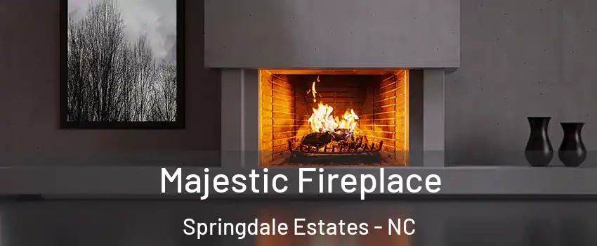 Majestic Fireplace Springdale Estates - NC