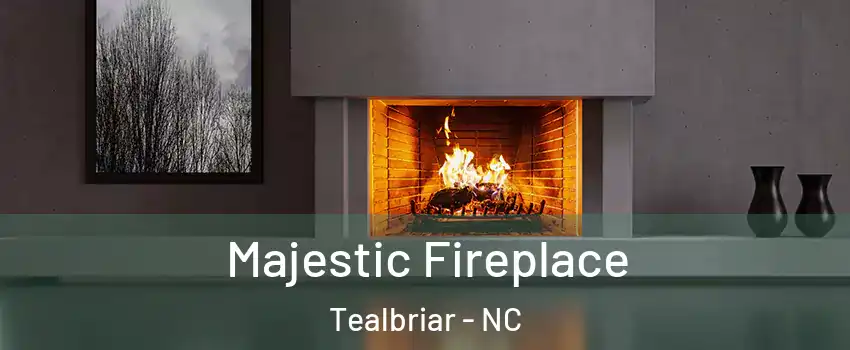Majestic Fireplace Tealbriar - NC