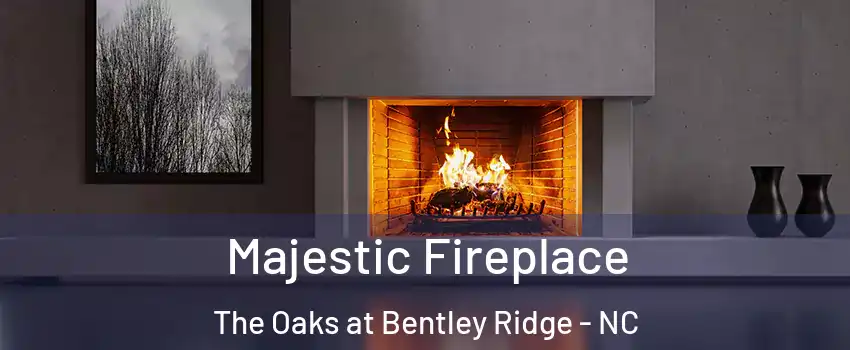 Majestic Fireplace The Oaks at Bentley Ridge - NC