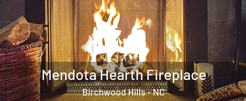 Mendota Hearth Fireplace Birchwood Hills - NC