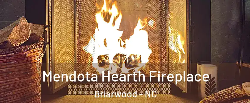 Mendota Hearth Fireplace Briarwood - NC