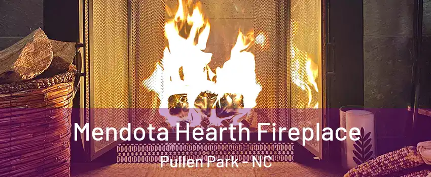 Mendota Hearth Fireplace Pullen Park - NC