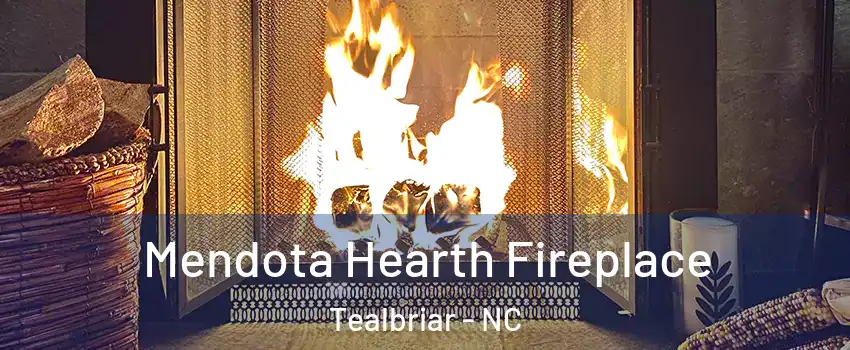 Mendota Hearth Fireplace Tealbriar - NC