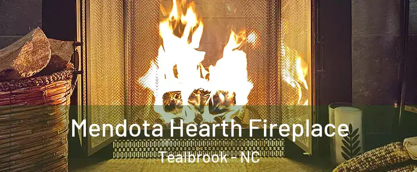 Mendota Hearth Fireplace Tealbrook - NC