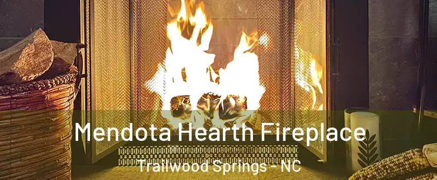 Mendota Hearth Fireplace Trailwood Springs - NC