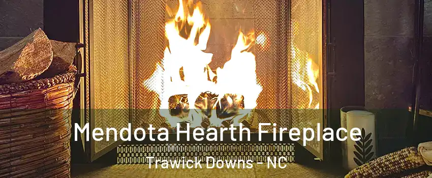 Mendota Hearth Fireplace Trawick Downs - NC