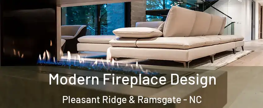 Modern Fireplace Design Pleasant Ridge & Ramsgate - NC