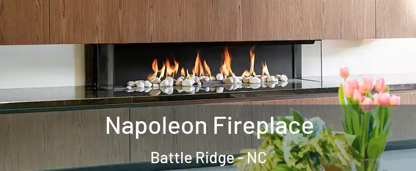 Napoleon Fireplace Battle Ridge - NC