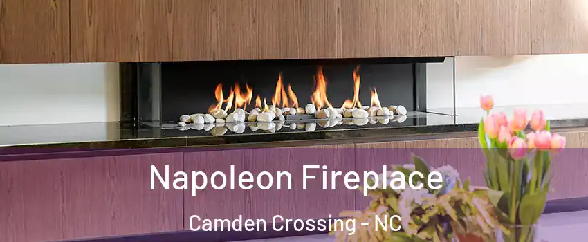 Napoleon Fireplace Camden Crossing - NC