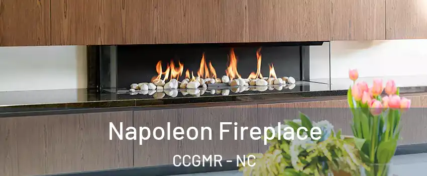Napoleon Fireplace CCGMR - NC
