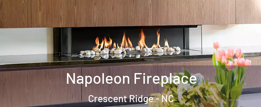 Napoleon Fireplace Crescent Ridge - NC