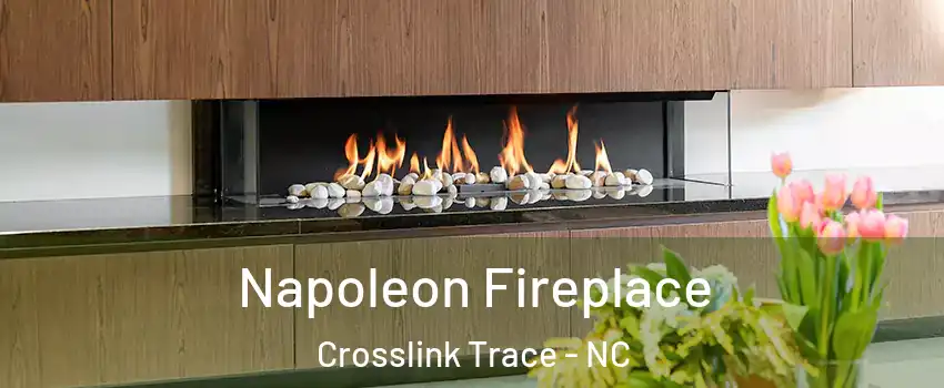 Napoleon Fireplace Crosslink Trace - NC
