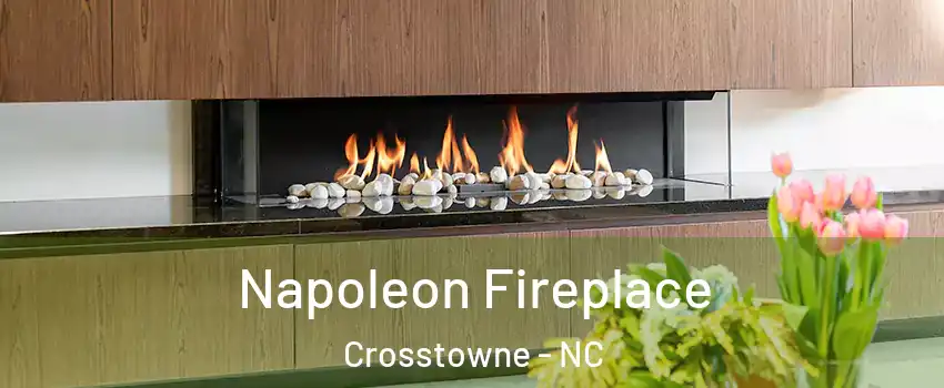 Napoleon Fireplace Crosstowne - NC