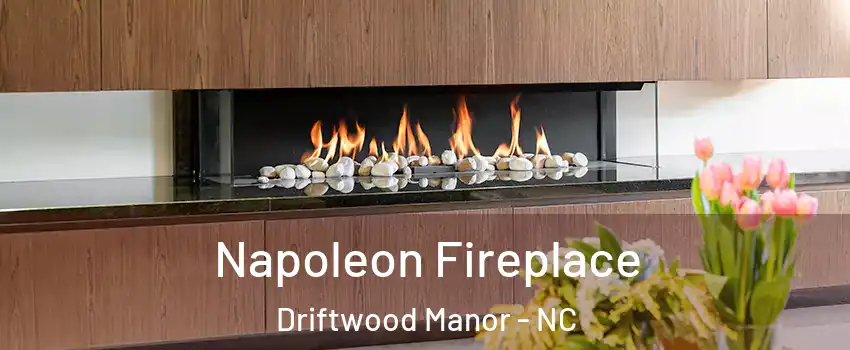 Napoleon Fireplace Driftwood Manor - NC