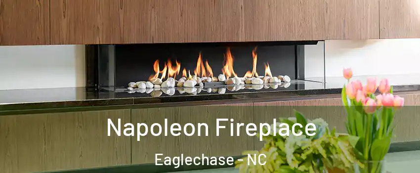 Napoleon Fireplace Eaglechase - NC
