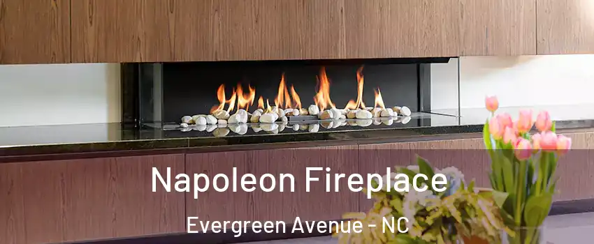 Napoleon Fireplace Evergreen Avenue - NC