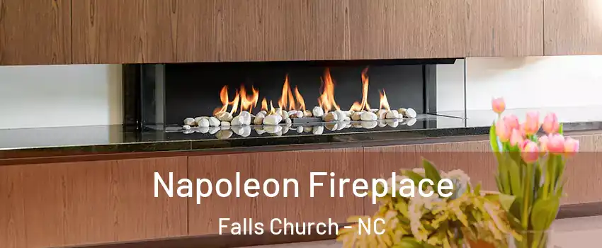 Napoleon Fireplace Falls Church - NC