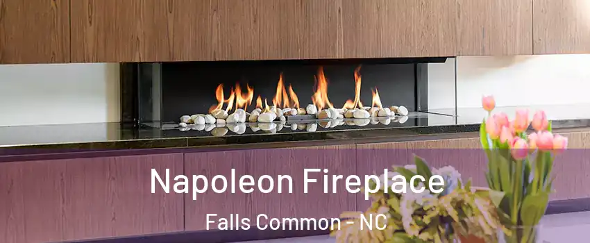 Napoleon Fireplace Falls Common - NC