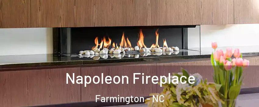 Napoleon Fireplace Farmington - NC