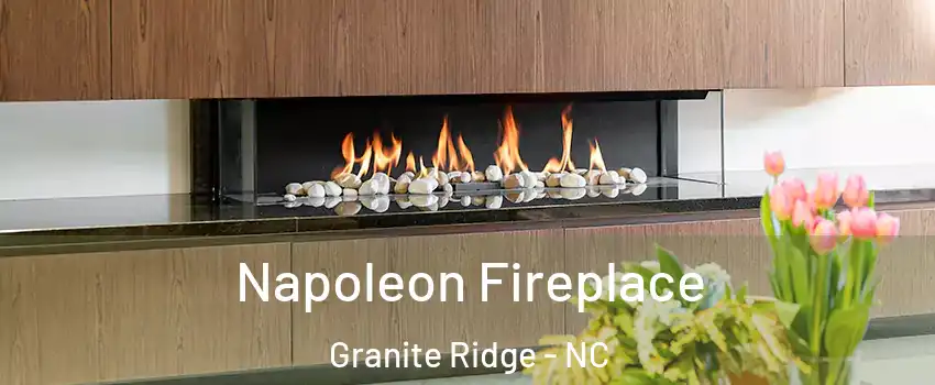 Napoleon Fireplace Granite Ridge - NC