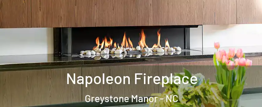 Napoleon Fireplace Greystone Manor - NC