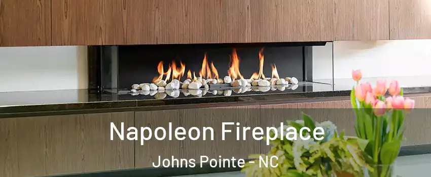 Napoleon Fireplace Johns Pointe - NC