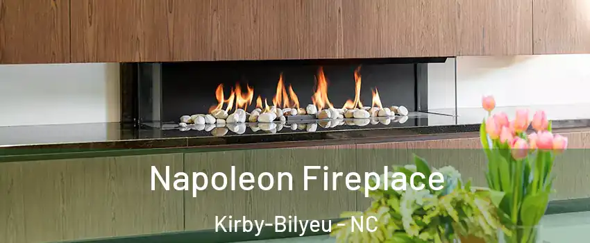 Napoleon Fireplace Kirby-Bilyeu - NC