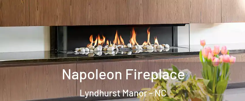 Napoleon Fireplace Lyndhurst Manor - NC