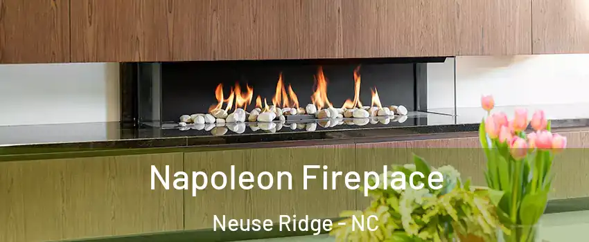 Napoleon Fireplace Neuse Ridge - NC