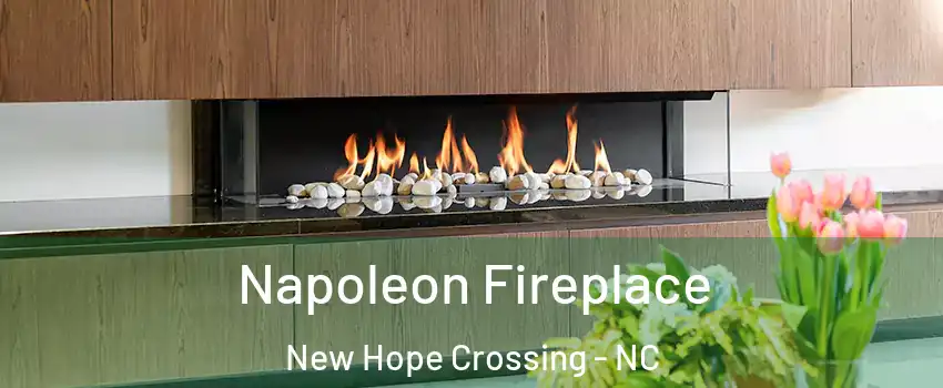 Napoleon Fireplace New Hope Crossing - NC