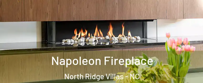 Napoleon Fireplace North Ridge Villas - NC