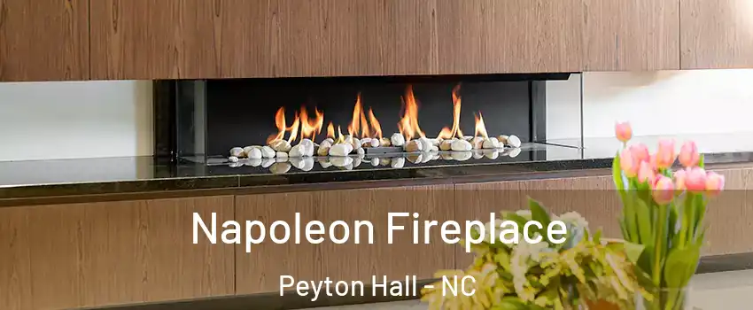 Napoleon Fireplace Peyton Hall - NC