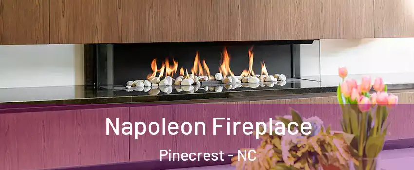 Napoleon Fireplace Pinecrest - NC