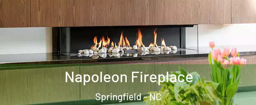 Napoleon Fireplace Springfield - NC