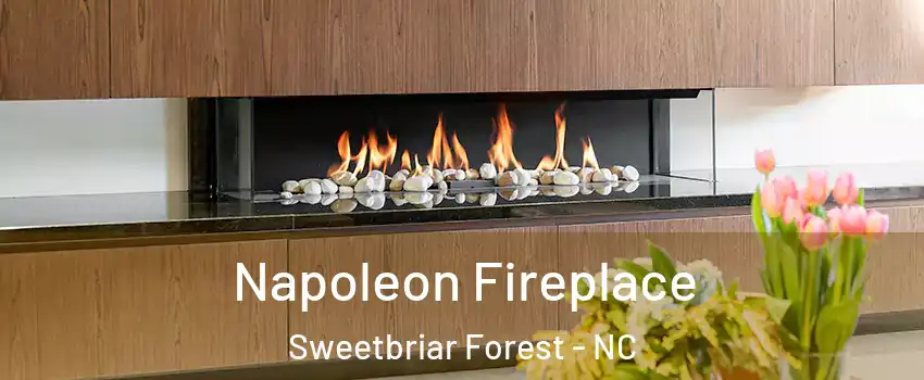 Napoleon Fireplace Sweetbriar Forest - NC