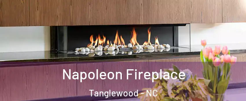 Napoleon Fireplace Tanglewood - NC