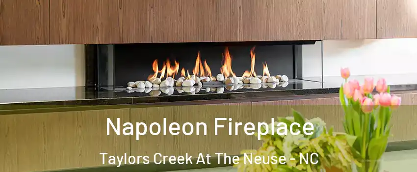Napoleon Fireplace Taylors Creek At The Neuse - NC