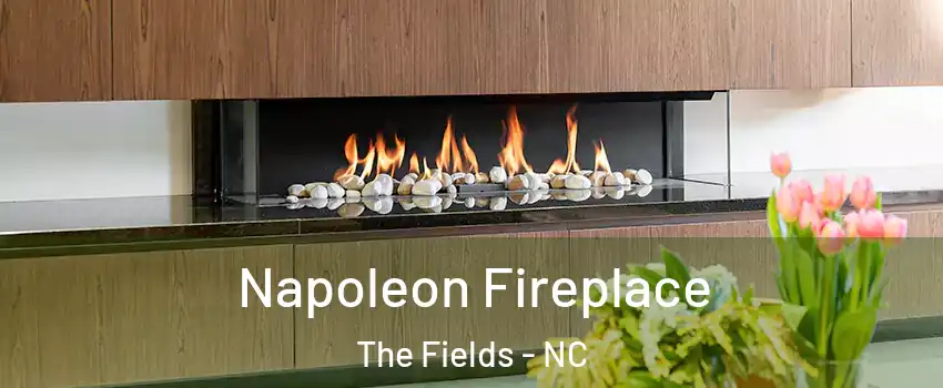 Napoleon Fireplace The Fields - NC