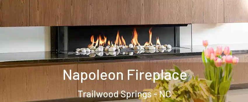 Napoleon Fireplace Trailwood Springs - NC
