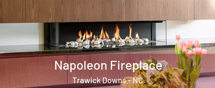 Napoleon Fireplace Trawick Downs - NC