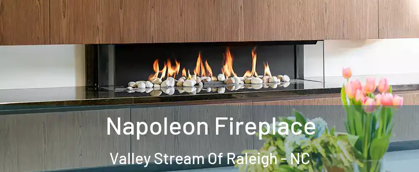 Napoleon Fireplace Valley Stream Of Raleigh - NC