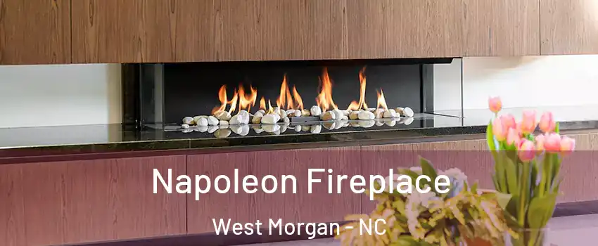 Napoleon Fireplace West Morgan - NC