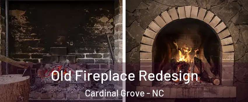 Old Fireplace Redesign Cardinal Grove - NC