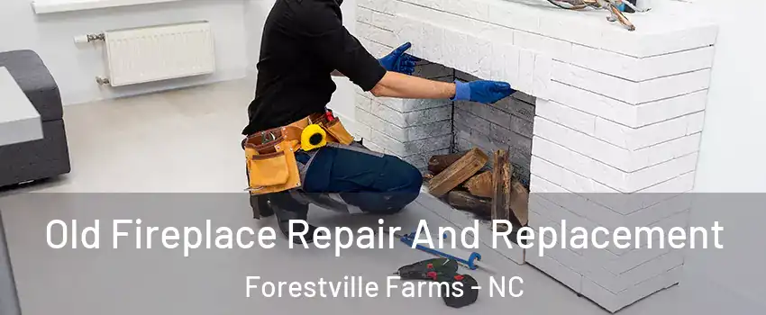 Old Fireplace Repair And Replacement Forestville Farms - NC